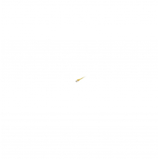 Equip cable de red Cat6a S/FTP (S-STP) 2 m Naranja