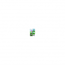 CARTUCHO EPSON 34XL MAGENTA C13T34734010