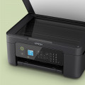 vista 2