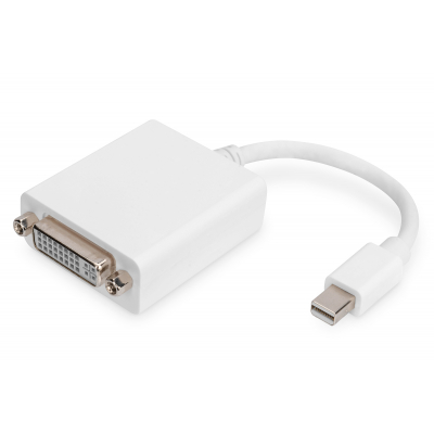 Cable adaptador DisplayPort