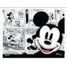 SKIN Notebook DISNEY 15