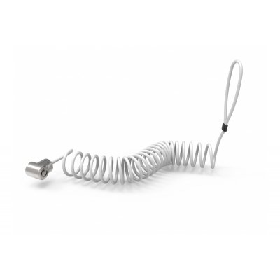 CL15CUTL cable antirrobo Plata