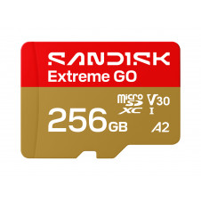 SanDisk Extreme GO 256 GB MicroSDXC UHS-I