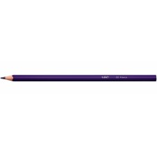 BIC 9641481 lápiz de color 24 pieza(s)