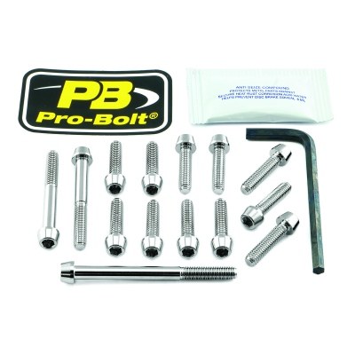 Kit carenado para Kawasaki PRO BOLT EKA371SS