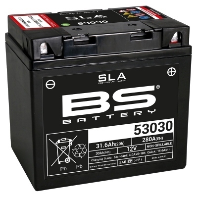 BS BATTERY SLA Battery Maintenance Free Factory Activated - 53030 300880