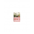 Payot Rose Lift Collagene Jour 50ml Set