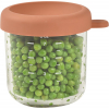 Tarro de Cristal Beaba 250 ml Terracotta
