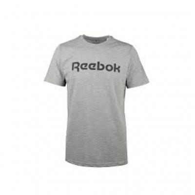 Camiseta REEBOK GS REEBOK LINEAR READ TEE 100038780 Gris