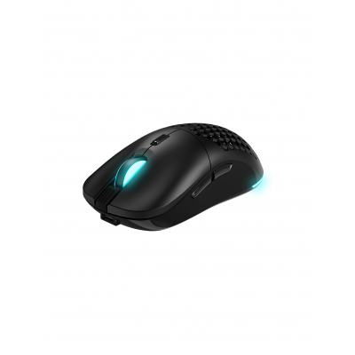 Arakne Elite ratón Juego Ambidextro RF Wireless + USB Type-A 16000 DPI