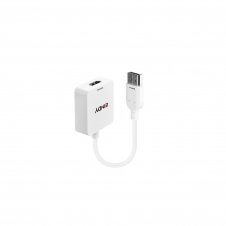 Lindy 38146 adaptador de cable de v?deo HDMI tipo A (Estándar) DisplayPort Blanco