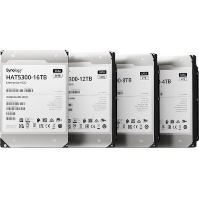 HAT5300-4T 3.5 IN SATA HDD 4TB INT