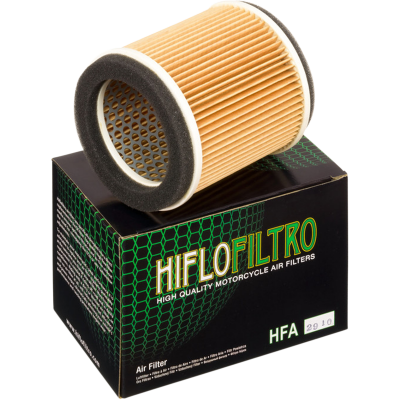 Filtro de aire de recambio OEM HIFLOFILTRO HFA2910