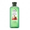 Bio:Renew Extra Aloe Y Mango Champú 380ml