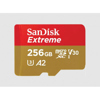 Extreme 256 GB MicroSDXC UHS-I Clase 3
