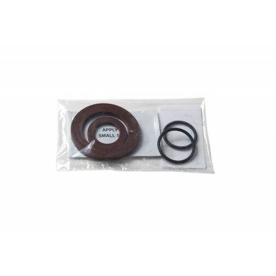 RACETECH Quick Fill Seals Kit R-GASCANSEALS