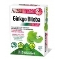 Ynsadiet Ginkgo Biloba Fitosol Retard 30 Comp