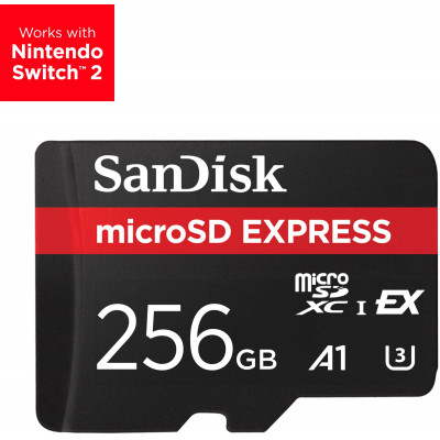 Express 256 GB MicroSDXC UHS-I