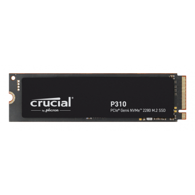P310 500 GB M.2 PCI Express 4.0 NVMe