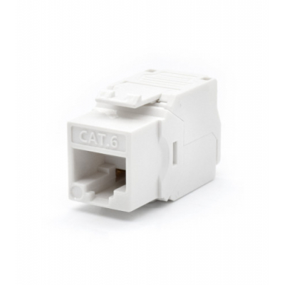 WP WPC-KEY-6UP-TL/W conector RJ45 Blanco
