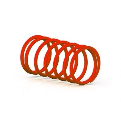 MALOSSI Racing Compression Spring 2918426.R0