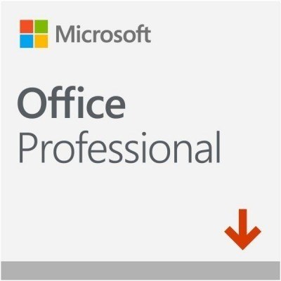 OFFICE PRO 2019 ALL LANG ESD