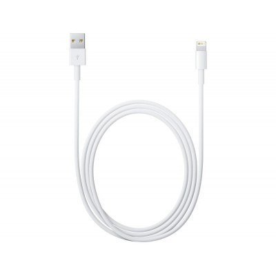 Cable de Carga Apple MD819ZM/A de conector Lightning a USB/ 2m