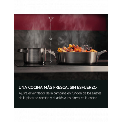 Imagen adicional del producto