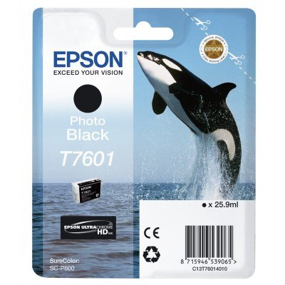 Epson T7601 Negro Photo Cartucho de Tinta Original - C13T76014010