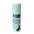 Ynsadiet Desodorante Aloe Vera 75ml