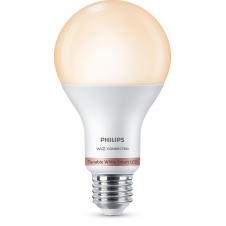 Philips Bombilla 13 W (Equiv. 100 W) A67 E27