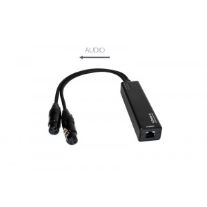 Adaptador 2 canales analógicos a Dante Fonestar AUX-DANTE-2X0