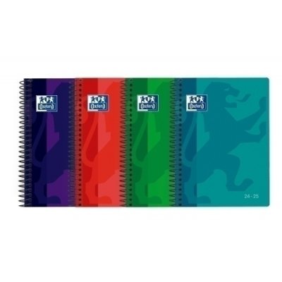 AG.ESC.OXF. CAT. SCHOOL t.PP 8º D/P