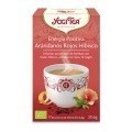 Yogi Tea Energia Positiva Arandanos Hibisco 17 X 1