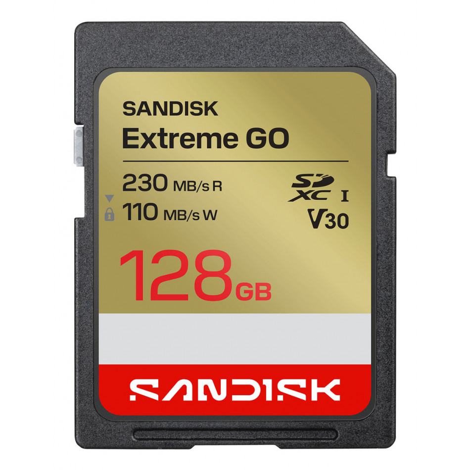 Extreme GO 128 GB SDXC UHS-I