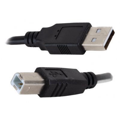IGG318713 cable USB USB 2.0 2 m USB A USB B Negro