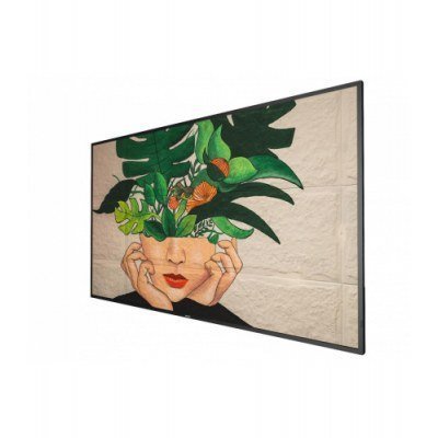 MONITOR 55 SERIE D-LINE