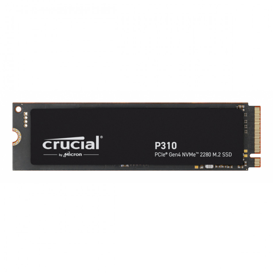 P310 1 TB M.2 PCI Express 4.0 NVMe