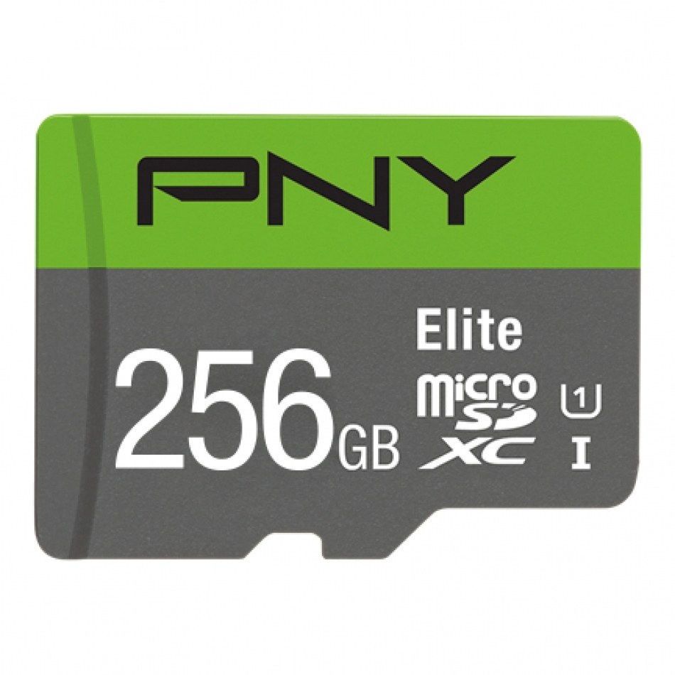 Elite 256 GB MicroSDXC UHS-I Clase 10