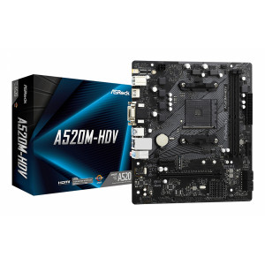 A520M-HDV AMD A520 Zócalo AM4 micro ATX