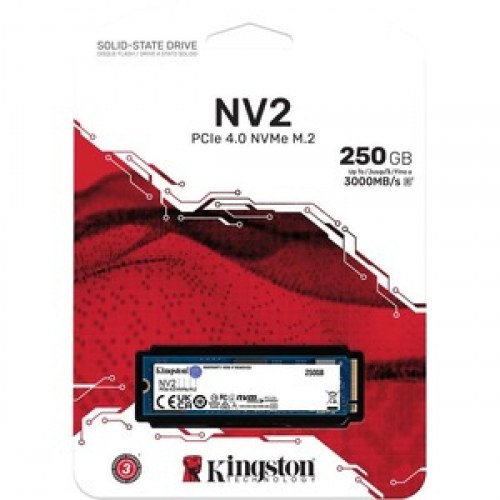 250G NV2 M.2 2280 NVME SSD NV2 INT