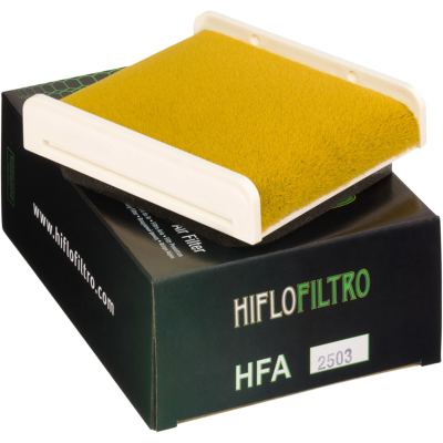 Filtro de aire de recambio OEM HIFLOFILTRO HFA2503