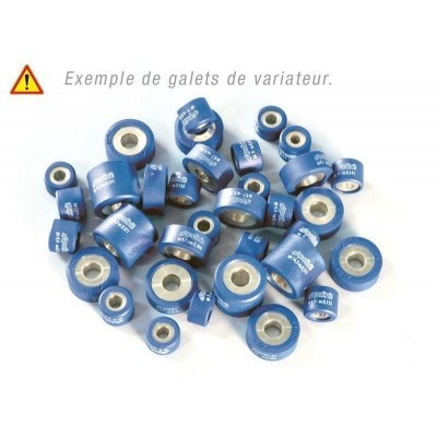 POLINI Variator Rollers Set 16x13mm 3,2gr - 6 pieces 242.054