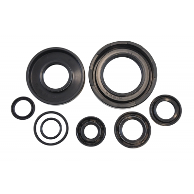 Oil Seal Kit VINTCO KOS005