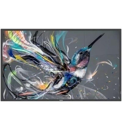 MONITOR 65 SERIE Q-LINE