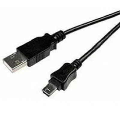 210304-100-SP cable USB USB A Mini-USB B Negro