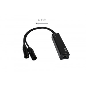 Adaptador 2 canales Dante a analógico Fonestar AUX-DANTE-0X2