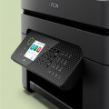 vista 2