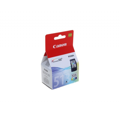 Canon CL513 Color Cartucho de Tinta Original - 2971B001