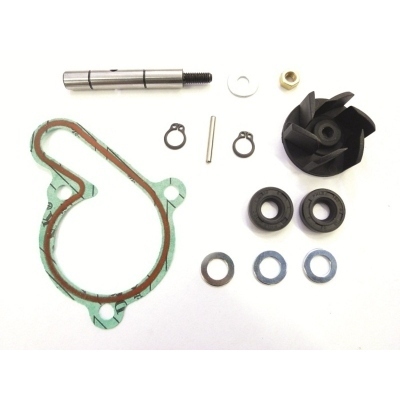 Kit reparación bomba de agua TOP PERFORMANCES motor Derbi Euro3 AA00825